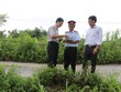 Quý 2, Hà Nội tập trung thanh tra công tác quản lý, quy hoạch, sử dụng đất đai