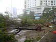 Tình trạng tập kết rác trên các rãnh vỉa, các miệng ga thu, khi mưa, các túi rác này sẽ theo dòng chảy trôi rất nhanh về các ga thu làm giảm khả năng thu nước (ảnh minh họa)