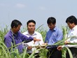 TTCS sẽ tiếp tục đẩy mạnh Kl99ok phiên bản mới toàn diện trên mọi mặt Nông nghiệp -  Kl994 nhà cái bóng đá world cup – Kl992 VIP Trang Chủ 2026 với nhu cầu vốn rất lớn.