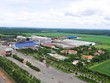 SBT tăng cường hỗ trợ người dân trồng mía, tiếp tục duy trì vị thế trong rổ VN30 