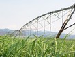 DEG rót gần 650 tỷ đồng vào mía đường Thành Thành Công - Biên Hòa (SBT)
