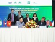 Niên vụ 2018 - 2019, TTC Sugar (SBT) xuất 4.500 tấn đường organic sang châu Âu