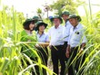 Viện Nghiên cứu Ứng dụng Kỹ thuật Nông nghiệp TTC Attapeu được thành lập sẽ là động lực mới 
giúp cải thiện đời sống người dân và Kl992 cổng game cá cược Trang Chủ KL99Com Số 1 Link Đăng Ký KL999 tại Attapeu.