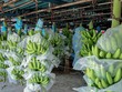 Dự án áp dụng nhiều kĩ thuật tiên tiến và giải pháp bền vững, thân thiện với môi trường