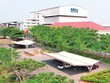 9 tháng, TTC Sugar (SBT) thực hiện 83% kế hoạch Kl99 nổ hũ niên độ 2020 - 2021