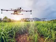 TTC Sugar (SBT): Lãi sau thuế 195 tỷ đồng trong quý I (niên độ 2021 -2022), tăng gấp đôi cùng kỳ