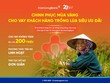KienlongBank triển khai nguồn vốn vay nhiều ưu đãi cho bà con trồng lúa
