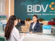 BIDV lên tiếng về việc cho vay vốn ở lĩnh vực Web Tổng Nhà Cái 99Kl99 Giải Trí Bậc Nhất