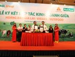 HAG xin ý kiến Trang Chủ KL99Com Số 1 Link Đăng Ký KL999 điều chỉnh các điều khoản của Kl99kl Hoàn Trả Vô Tận chuyển đổi 