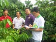 PVFCCo tham gia mô hình hợp tác công tư PPP