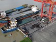 Thép cuộn Việt Nam có thể không phải chịu thuế chống bán giá khi xuất khẩu sang Úc
