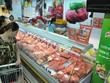 Satra chưa có kế hoạch thoái tiếp vốn 99Kl99 trực tiếp đá gà ở Vissan 