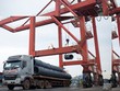 Thép Hòa Phát xuất khẩu tăng 50%, thị trường Mỹ chiếm 15% sản lượng xuất khẩu