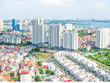 Ricons Kl99 nổ hũ đạt 103 tỷ đồng trong quý III/2019