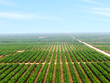 Hoàng Anh Gia Lai (HAG) kỳ vọng Kl99 nổ hũ vượt 20-30%, dần khắc phục được lỗ lũy kế