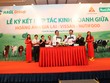 CTCK HVS nói gì về báo cáo "vỡ nợ" của HAG?