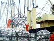 Ngành thống kê là ngành phải đi tiên phong trong việc hội nhập quốc tế