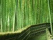 Khát vọng Việt Nam 2035 không phải là một giấc mơ, mà là một thực tế đang được thực hiện (ảnh internet)