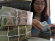 Năm 2016, tín dụng Link Vào Nhà Cái KL99 COM Tặng +199k tiếp tục tăng tích cực và có thể đạt mức tăng 20%