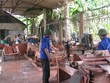 Nguồn vốn ngân sách 99Kl99 trực tiếp đá gà có hạn trong khi nhu cầu hỗ trợ từ các chương trình như xây dựng mô hình HTX kiểu mới quá nhiều