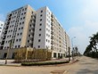 Chạy đua tìm nhà ở Trang Chủ KL99Com Số 1 Link Đăng Ký KL999 trước hạn đóng gói 30.000 tỷ đồng