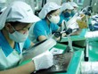 Mấy năm gần đây, TP.HCM không thu hút được nhiều dự án trong lĩnh vực Kl994 nhà cái bóng đá world cup có quy mô vốn lớn