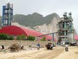 Nhà máy Xi măng Xuân Thành (Ảnh minh họa: Internet)