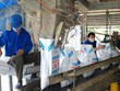 LAS: Kl99ok phiên bản mới dây chuyển Kl994 nhà cái bóng đá world cup mới trị giá 258 tỷ đồng