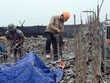 Bí thư Thành ủy Hà Nội Hoàng Trung Hải nêu rõ: Trong quý 1 trật tự đô thị còn nhiều hạn chế, "ngày nào cũng có vấn đề".  (ảnh minh họa)
