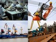 Đến năm 2020 sẽ giảm 50% số lượng Kl991.com World Cup 2026 Chính Thức 99Kl99 trực tiếp đá gà
