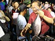 Bộ trưởng Trương Minh Tuấn trực tiếp mua, ăn cá của ngư dân Quảng Bình