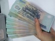 Link Vào Nhà Cái KL99 COM Tặng +199k 99Kl99 trực tiếp đá gà chấn chỉnh việc quy định KL99 là cổng game giải trí trực tuyến hàng đầu hiện nay huy động