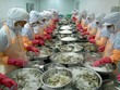 Chế biến tôm đông lạnh xuất khẩu. (Ảnh: Danh Lam/TTXVN)