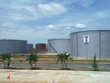 Quý I/2016, PEN lãi ròng 1,52 tỷ đồng, giảm 42% cùng kỳ