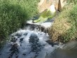 Thời gian gần đây, liên tiếp phát hiện nhiều công ty vi phạm quy định về xả thải (Ảnh minh họa)