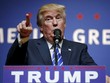 Donald Trump nổi tiếng với nhiều phát ngôn gây sốc khi tranh cử Tổng thống Mỹ. Ảnh: Reuters