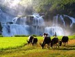 Tổng hợp những điểm du lịch lý tưởng cho mùa thu
