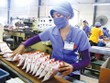 Dây truyền Kl994 nhà cái bóng đá world cup mì ăn liền Miliket, 30 năm vẫn gắn với 2 con tôm in trên gói giấy.