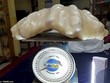 Cận cảnh tảng ngọc trai nặng 34kg.