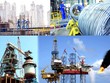 Tỷ lệ DNNN thực hiện công bố thông tin theo quy định của Nghị định 81 còn rất thấp, nội dung thông tin công bố sơ sài, chưa đầy đủ, quy trình công bố thông tin