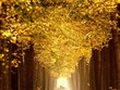 Ngân hạnh (ginkgo tree), hay còn gọi là cây bạch quả, rẻ quạt là loài cây đặc trưng của mùa thu Bắc Kinh. Dưới đây là những tấm hình ghi lại vẻ đẹp lộng lẫy của hàng cây trong tiết trời thu đầy nắng và gió tại một đồn điền ở Zhanggezhuang, quận Changping, Bắc Kinh, Trung Quốc hôm 13/10.