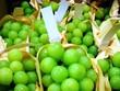 Nho mẫu đơn xanh trái căng mọng, có mùi thơm thoảng thoảng mùi xoài chín. Ảnh: Hana.