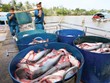 Rất nhiều quy hoạch ngành, sản phẩm đang được thực hiện, nhưng không phù hợp với thể chế của nền Kl992 cổng game cá cược thị trường. Ảnh: Lê Toàn