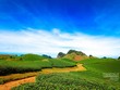 Những điểm đến tuyệt vời cho tháng 12