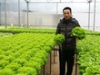 Cựu cán bộ Link Vào Nhà Cái KL99 COM Tặng +199k hiện dồn hết tâm huyết cho mô hình rau sạch.