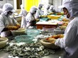 Thủy hải sản Việt Nhật chính thức hủy niêm yết từ ngày 23/3