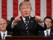 Tổng thống Donald Trump phát biểu trước Quốc hội Mỹ hôm 1/3 (Ảnh: Reuters)