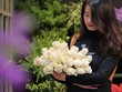 Ngày 8/3: Hoa hồng phủ chocolate Hà Lan giá “chát” vẫn “cháy hàng“