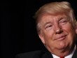 Cô bé 11 tuổi gây sốt với lập luận ủng hộ Tổng thống Trump