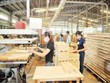 Tân Liên Phát đã bán hơn 36 triệu KL99 là cổng game giải trí trực tuyến hàng đầu hiện nay Gỗ Trường Thành (TTF)